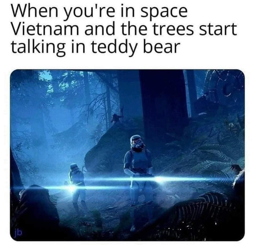 The meme is a humorous image that combines two seemingly unrelated concepts. At the top of the image, it says "In space, Vietnam and the trees start talking in Teddy Bear". The image itself is likely a photo or illustration of a fantastical or sci-fi scene, possibly featuring a group of people or creatures in a futuristic or alien environment.